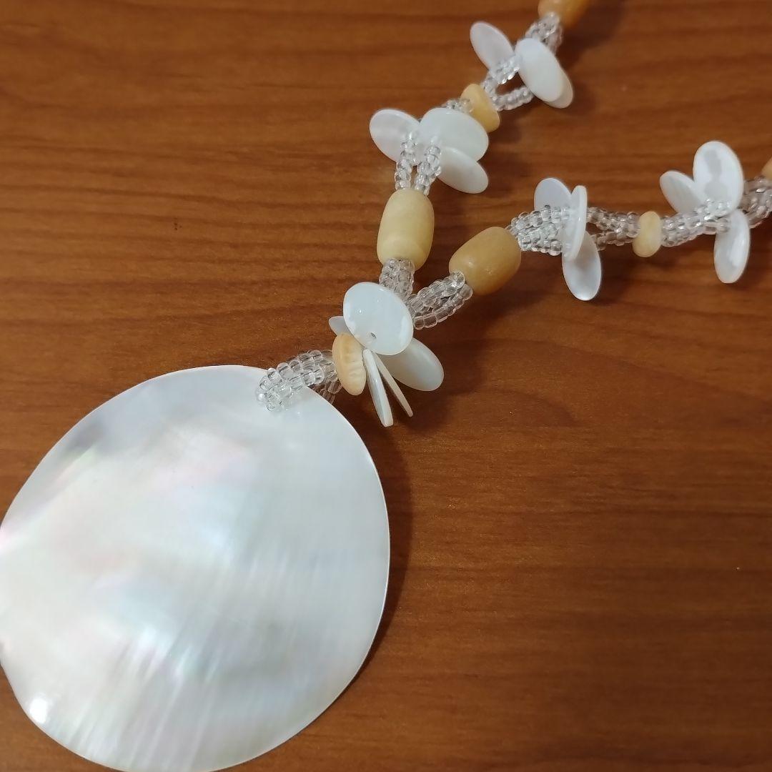 this shell