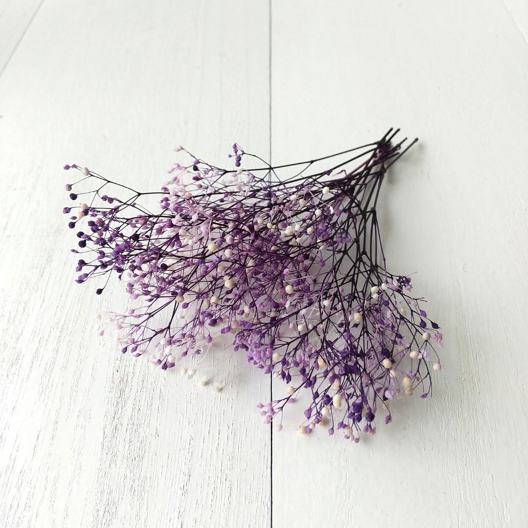 Gypsophila Purple White (Preserved Flower Material Kasumisou)