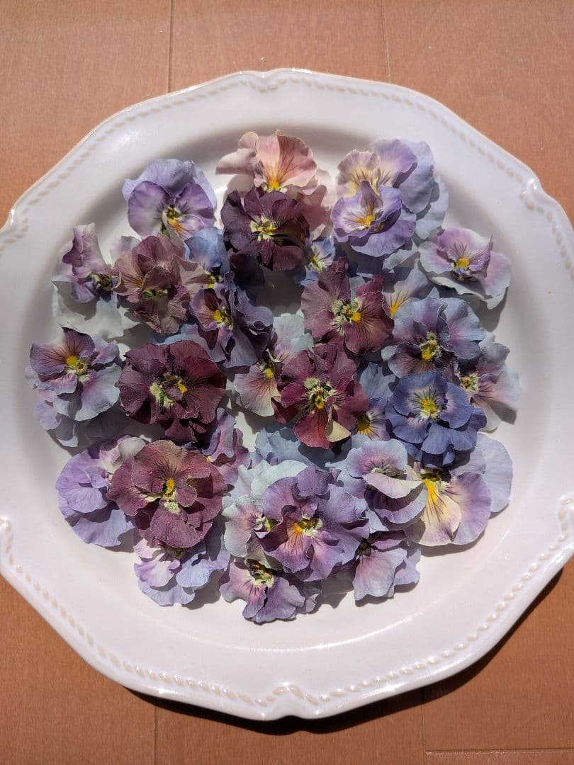 Frilled Pansy, 35 pieces, Floral Material ①, Dried Flowers
