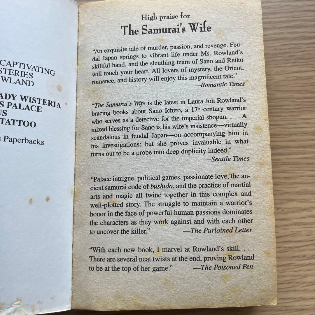 mystery novel