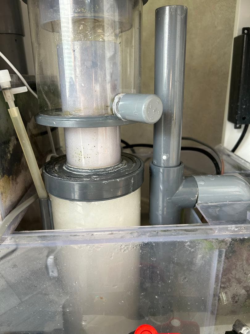protein skimmer